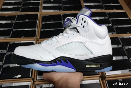 Jordan5 DD0587-141 587 Air Fashionable CONCORD 0712